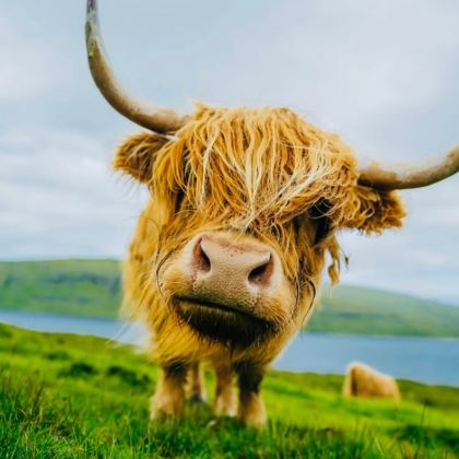 英国爱丁堡+因弗内斯+天空岛+苏格兰高地3日2晚私家团