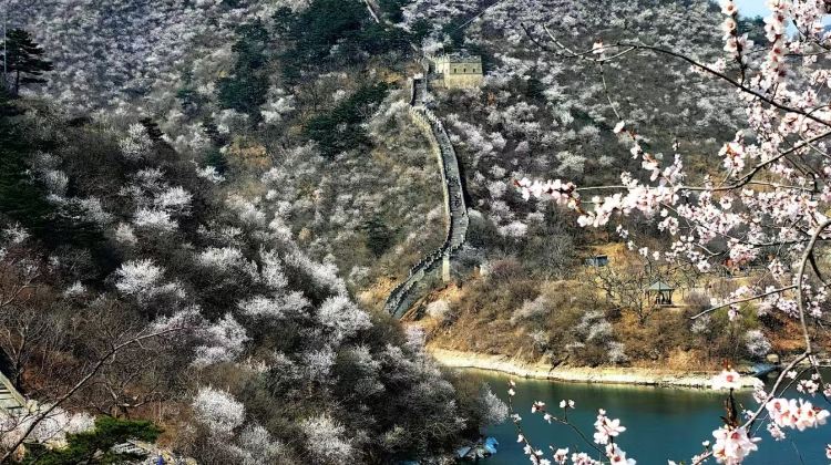 4D3N · Private Tours · Beijing Night of Chang'an Avenue & Lakeside Great wall-boating included &Pop Mart City Park+Forbidden City+Mutianyu Great Wall·Tour Guide+ Private Car+All tickets included