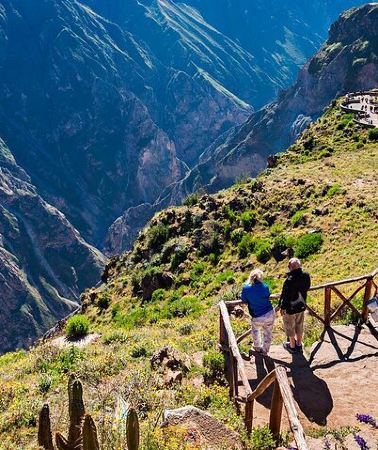 2D1N • Trekking 2 Days to the Colca Canyon