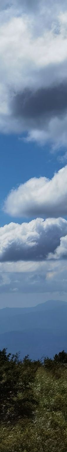 大围山国家森林公园-浏阳