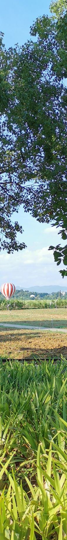 漳河风景名胜区-荆门