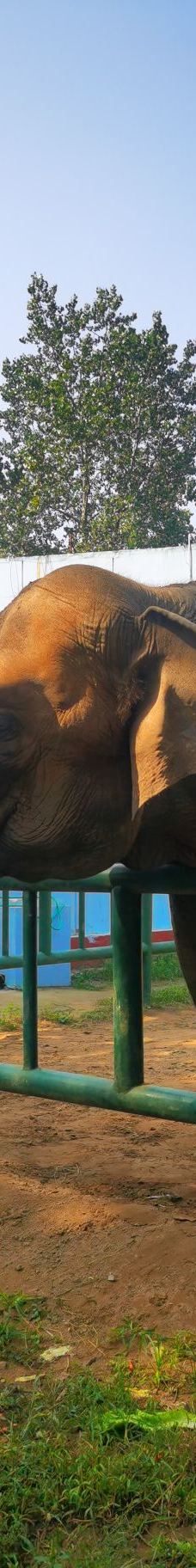 秦皇岛野生动物园-秦皇岛