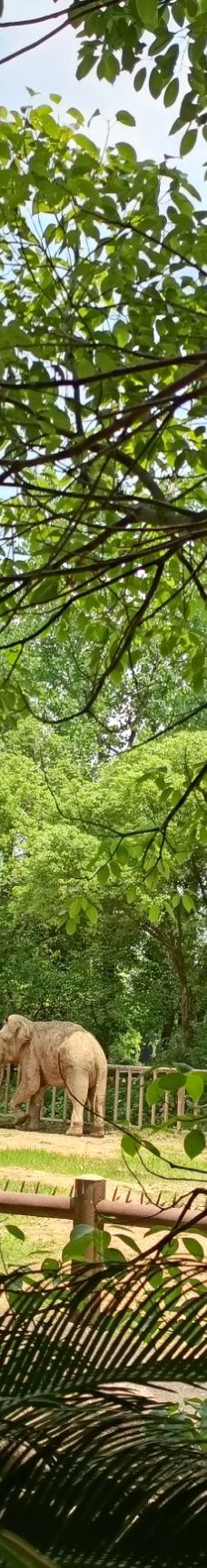 南昌动物园-南昌