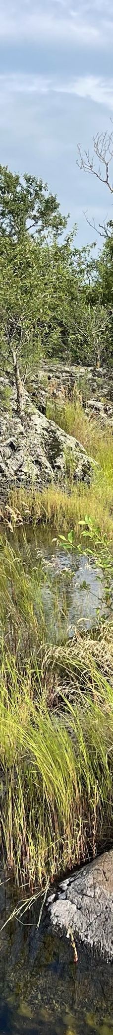 温泊景区-五大连池