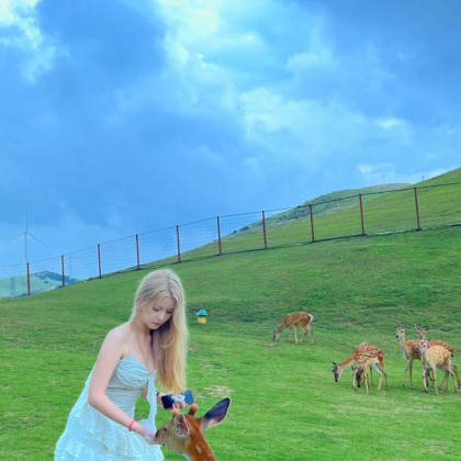 东江湖旅游区+高椅岭旅游区+仰天湖大草原2日1晚拼小团
