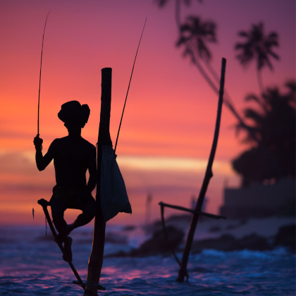 斯里兰卡+马尔代夫9日7晚跟团游