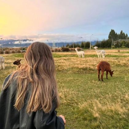 新西兰北岛+南岛16日14晚私家团