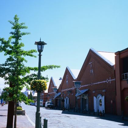 日本北海道4日3晚拼小团