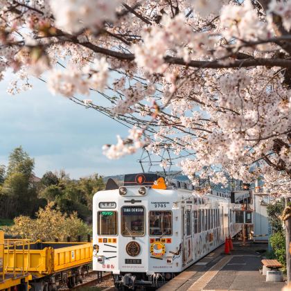 日本和歌山市+白滨町+伊势市+熊野市5日4晚私家团