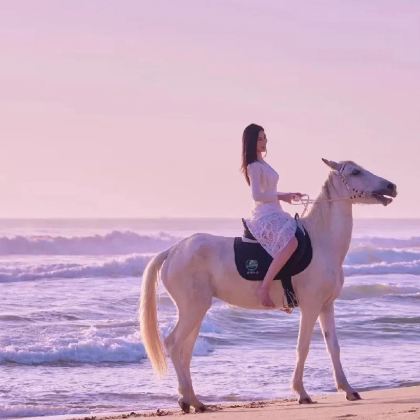 万宁+分界洲岛+陵水2日1晚跟团游