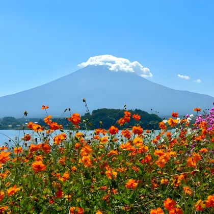 东京+轻井泽町+富士山6日5晚自由行