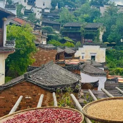 江西南昌+井冈山市+庐山风景名胜区+景德镇+婺源风景区+三清山风景区+婺源篁岭景区8日7晚跟团游