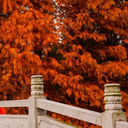 无锡+扬州+泰州6日5晚私家团