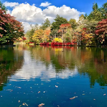 日本名古屋+白川村+高山市+松本市+轻井泽町8日7晚拼小团