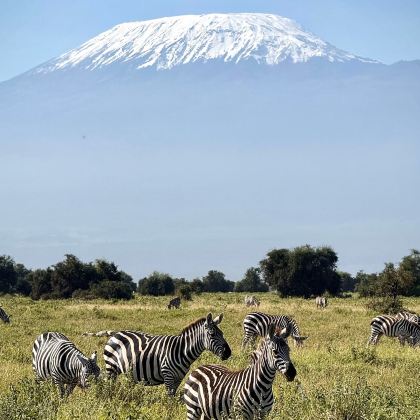 肯尼亚+坦桑尼亚10日9晚拼小团