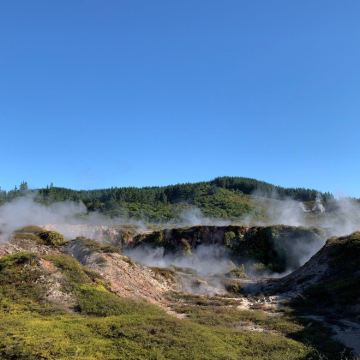 新西兰奥克兰+罗托鲁瓦+惠灵顿9日7晚私家团