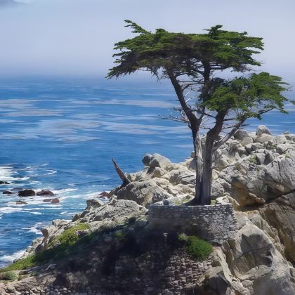 美国19日16晚跟团游