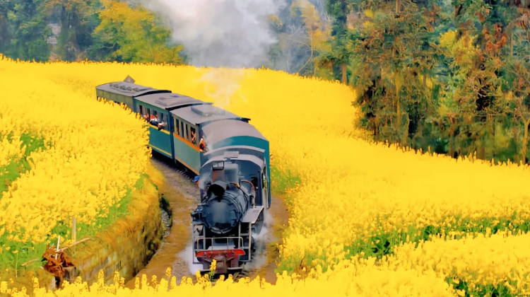 8-day 7-night · Private Tour · Chengdu + Mount Siguniang + Mount Emei + Dujiangyan + Moshi Park Scenic Area + Kangding Love Song (Mugecuo) Scenic Area