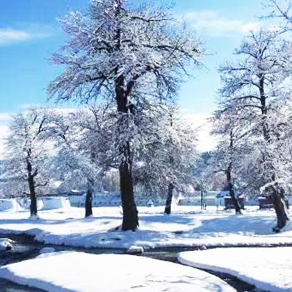 新疆北疆+伊犁+那拉提旅游风景区+赛里木湖4日3晚拼小团