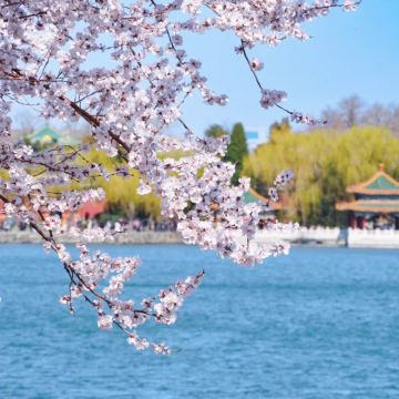 北京+故宫博物院+天安门广场+天坛公园4日3晚自由行