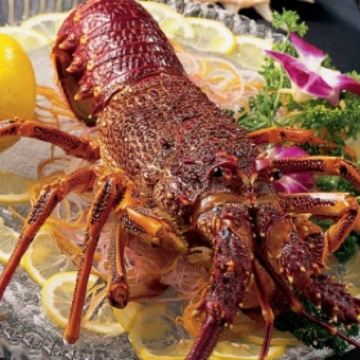 丹顿农山脉国家公园+普芬比利蒸汽火车+希尔斯维尔野生动物保护区+菲利普岛野生动物园+大洋路+格兰坪国家公园12日11晚拼小团