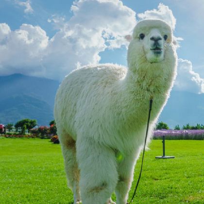 承德+乌兰布统旅游区5日4晚私家团