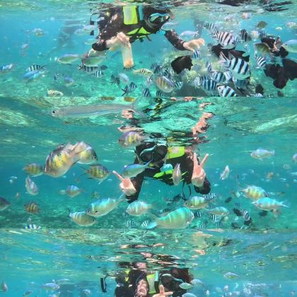 马来西亚沙巴4日3晚拼小团