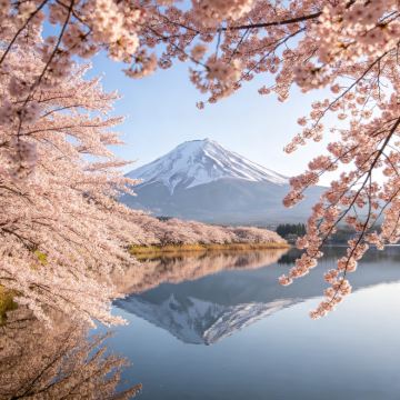 日本东京+富士山5日4晚私家团