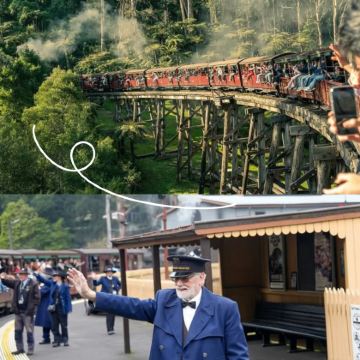 丹顿农山脉国家公园+普芬比利蒸汽火车+希尔斯维尔野生动物保护区+菲利普岛野生动物园+大洋路+格兰坪国家公园11日10晚拼小团