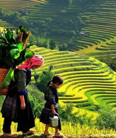 6D5N • 6-Day Essential North Vietnam Tour: Hanoi Halong Ninh Binh & Sapa