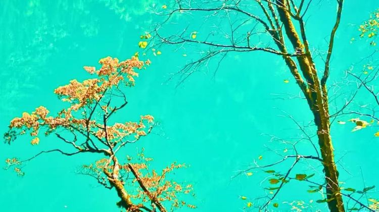4-Day 25°C summer: Jiuzhaigou turquoise lakes + Huanglong golden pools by high-speed rail - all-inclusive with hotel & airport transfer