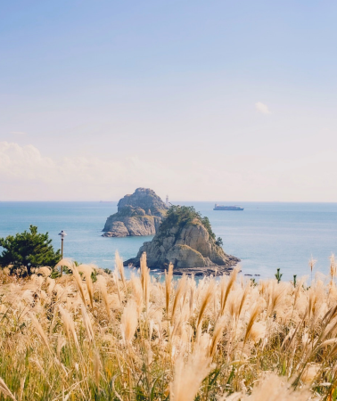 4D3N • South Korea + Jeju Island: Eco Land Theme Park - Seongsan Ilchulbong - Meet Snoopy and friends at Snoopy Garden - Enjoy the clear waters at Hamdeok Beach