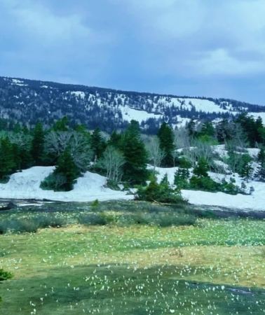 7D6N • Japan Tohoku Winter & Nature Escape: Oirase Stream - Lake Towada - Motsuji Temple - Ogama Crater - Zao Onsen - Zao Fox Village - Ginzan Onsen