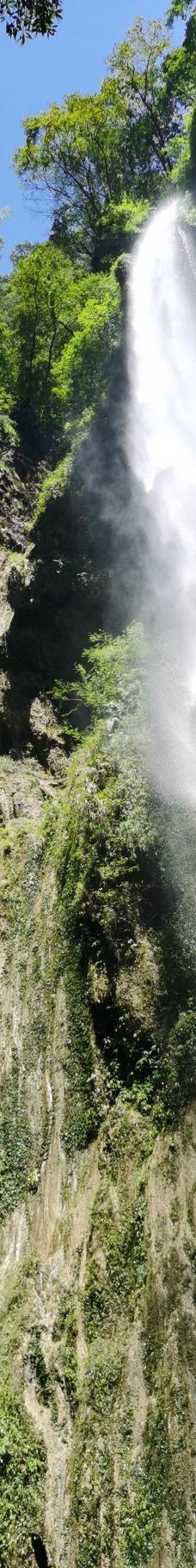黑山谷风景区-重庆