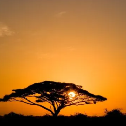 肯尼亚+纳库鲁+马赛马拉国家保护区+奈瓦沙湖+安波塞利国家公园9日7晚跟团游