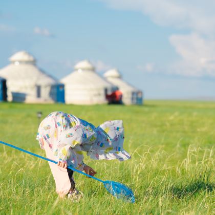 内蒙古呼伦贝尔+满洲里+额尔古纳5日4晚私家团