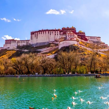 西藏+布达拉宫+雅鲁藏布大峡谷+巴松措+西藏雅尼国家湿地公园+鲁朗林海+羊卓雍错+纳木措景区10日7晚跟团游