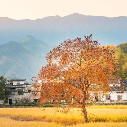 安徽安庆+天柱山+黄山4日3晚自由行