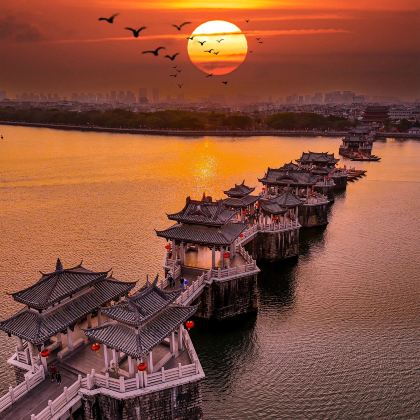 广州+佛山+中山+珠海+澳门+香港+深圳+汕尾+汕头+潮州+惠州10日9晚私家团