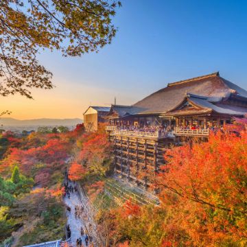 日本东京+大阪+京都+奈良+富士山8日7晚跟团游