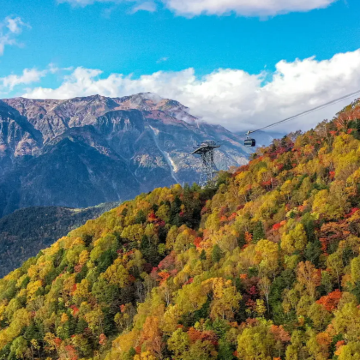 日本名古屋+下吕市+奥飞驒温泉乡+金泽7日6晚私家团