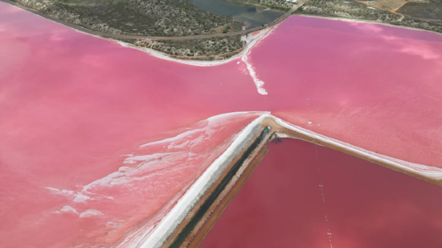 澳大利亞西澳大利亞珀斯+傑拉爾頓+羅特尼斯島+赫特瀉湖4日3晚·2+9人小團+粉紅湖心動之旅+享整隻澳龍餐+網紅小袋鼠合影+白沙丘四驅衝沙體驗+華人司導服務無憂