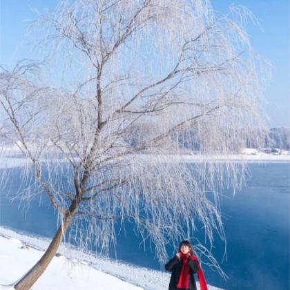 沈阳故宫+长白山+雪乡+哈尔滨冰雪大世界7日6晚跟团游