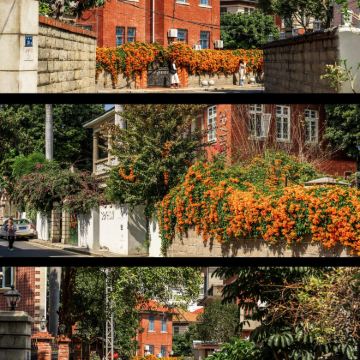 厦门+鼓浪屿+云水谣景区+武夷山6日5晚私家团