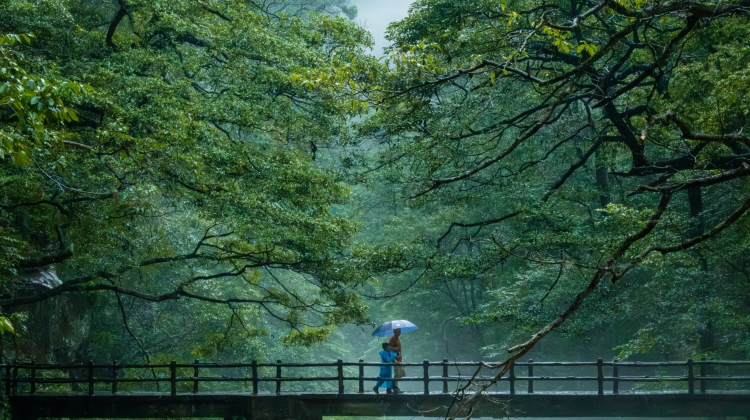 5-Day Tianzishan + Changsha + Zhangjiajie + Tianmen Mountain National Forest Park