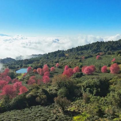 玉溪+楚雄彝族自治州5日4晚私家团