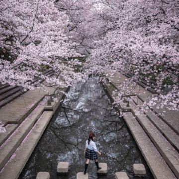 日本东京+富士山+富士河口湖町4日3晚拼小团