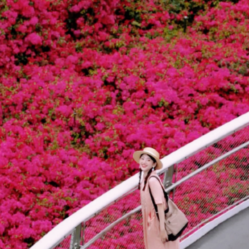 厦门+鼓浪屿+福建土楼5日4晚跟团游