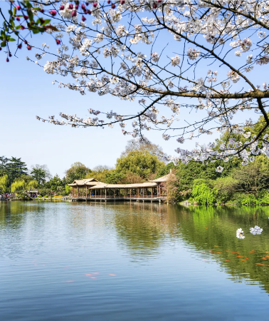 7D6N • Enchanting Jiangnan Getaway: Experience Shanghai, Suzhou, Wuxi, Hangzhou, and Wuzhen, including a visit to Oriental Salt Lake City
