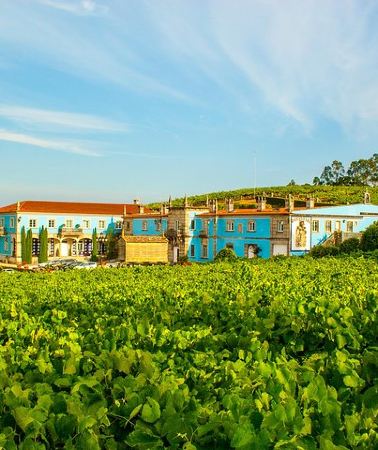 4D3N • Galicia 4-day Food & Wine Private Tour